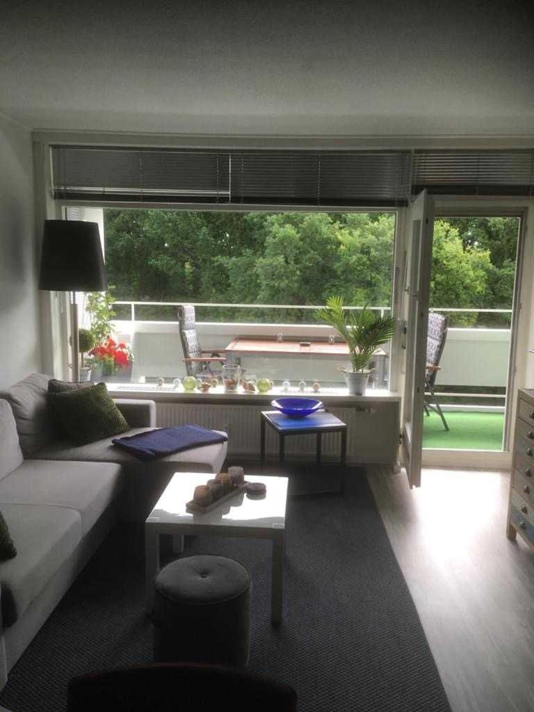 Ferienwohnung Kofferfisch ジールクスドルフ エクステリア 写真